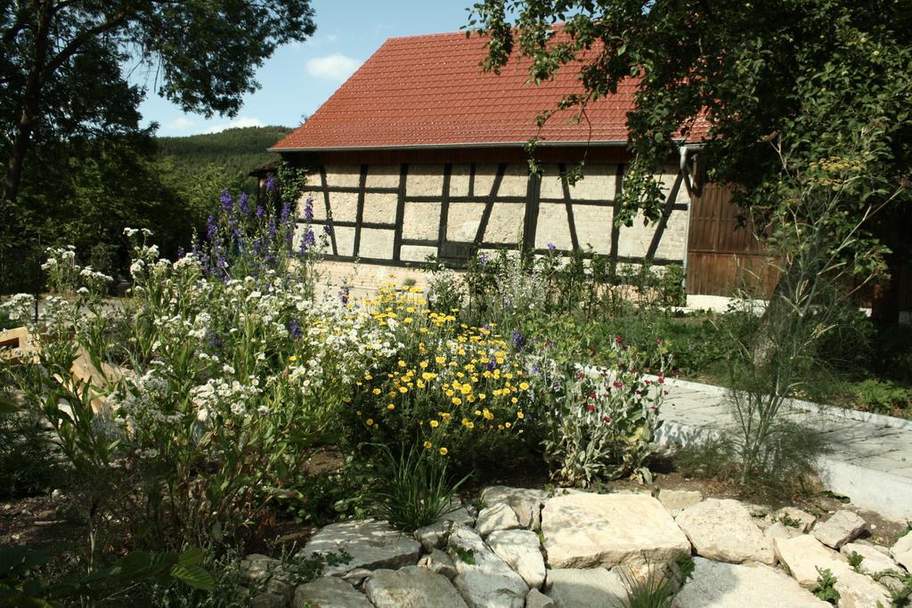 Cafe Landart Im Thueringer Finistere Lägenhet Plaue  Rum bild