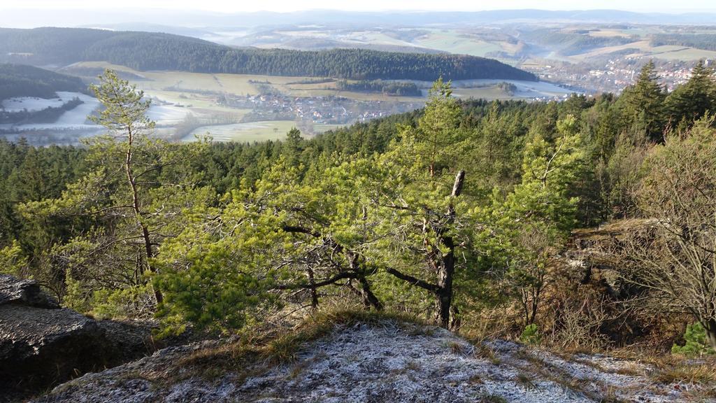 Cafe Landart Im Thueringer Finistere Lägenhet Plaue  Exteriör bild