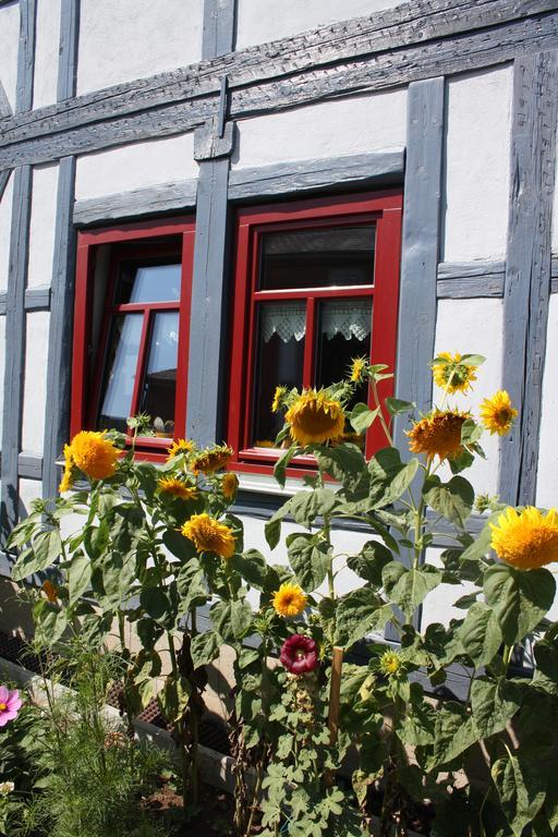 Cafe Landart Im Thueringer Finistere Lägenhet Plaue  Exteriör bild